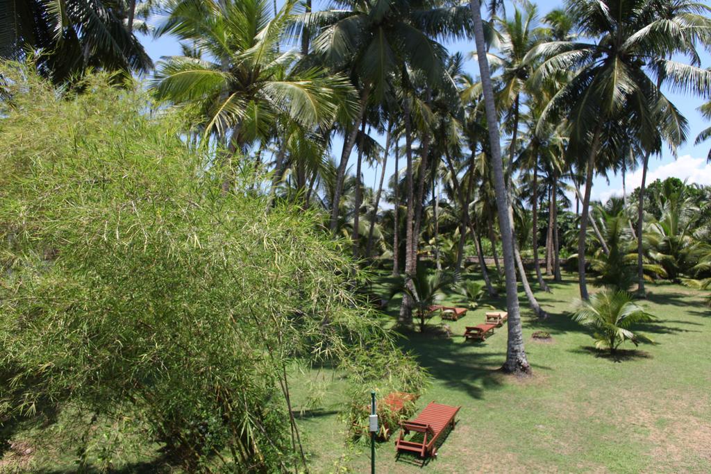 Hotel Chitra Ayurveda à Bentota Chambre photo