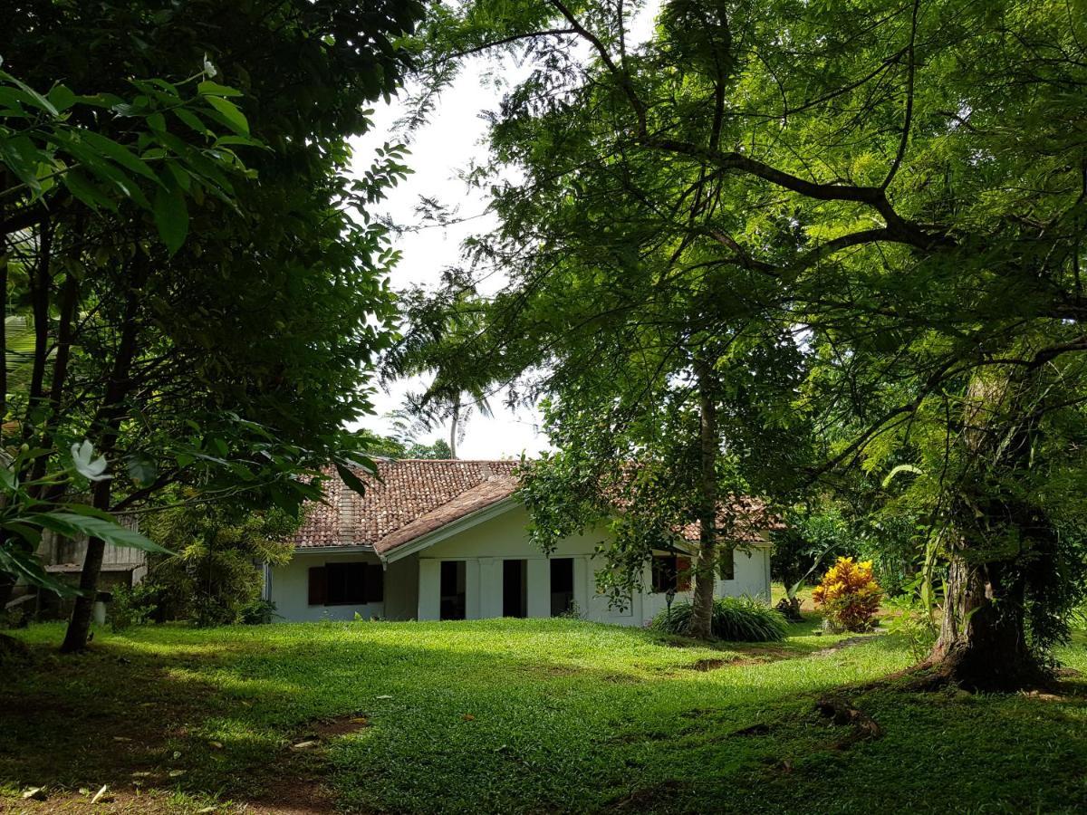 Hotel Chitra Ayurveda à Bentota Extérieur photo