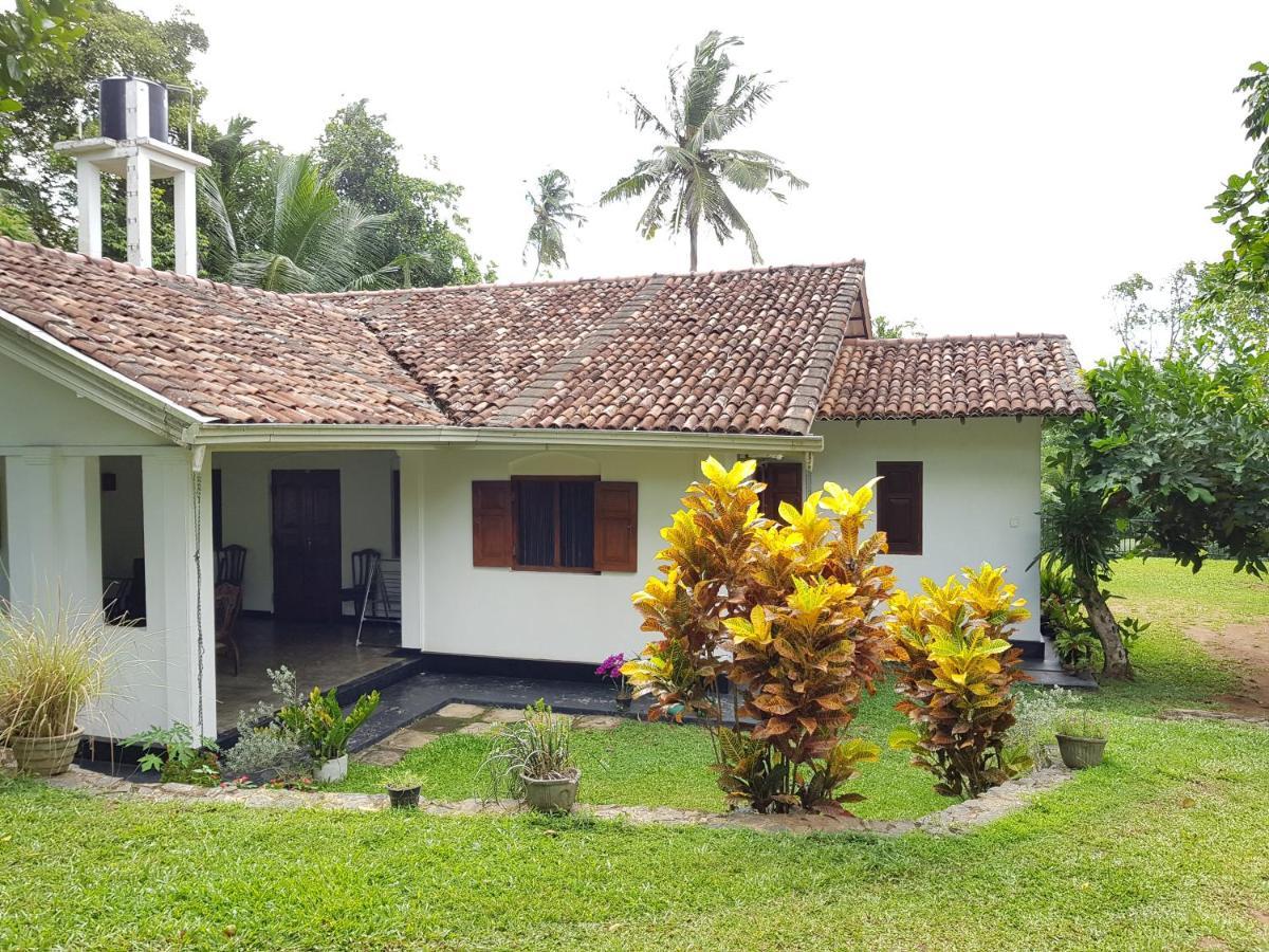 Hotel Chitra Ayurveda à Bentota Extérieur photo