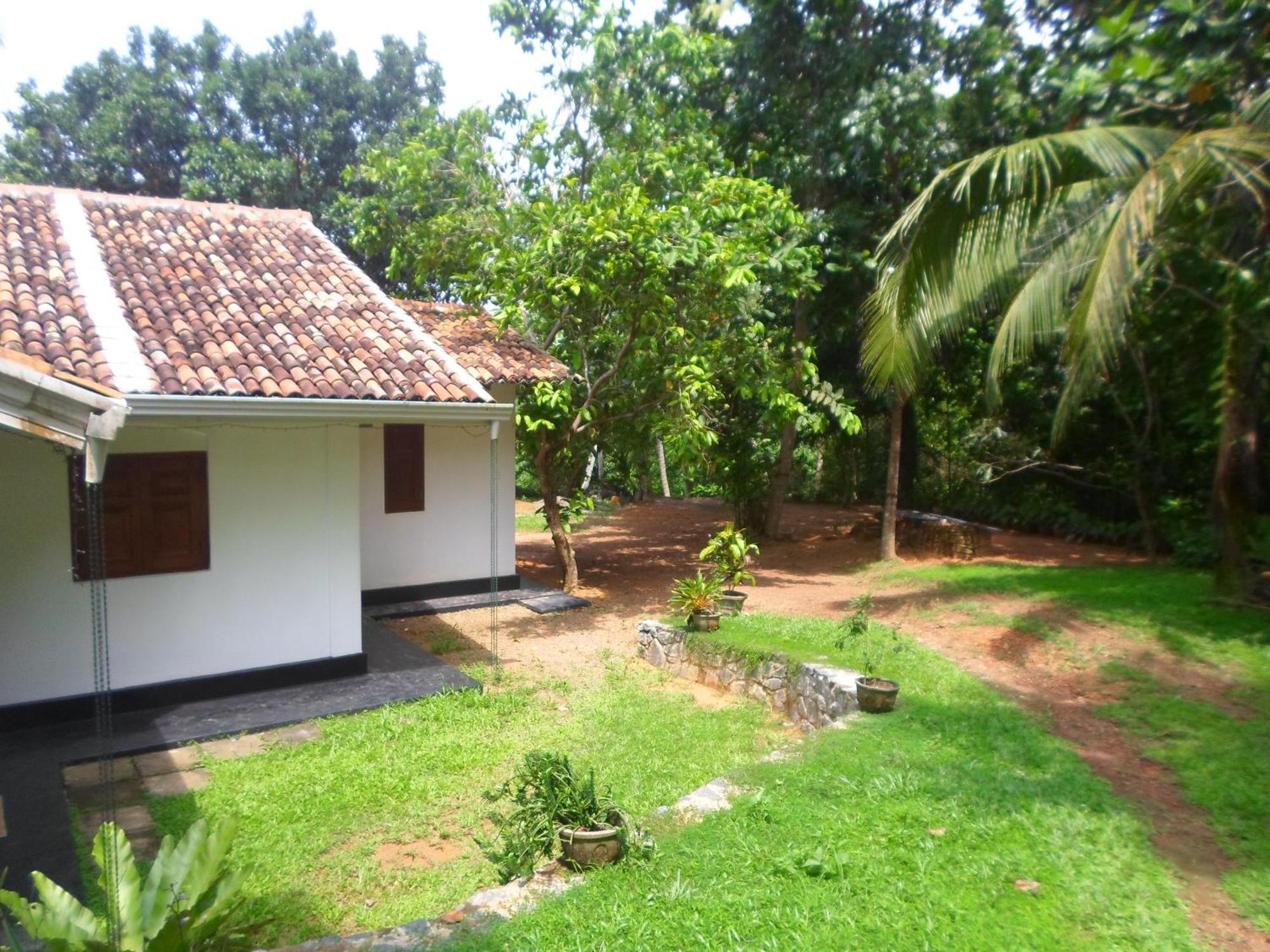 Hotel Chitra Ayurveda à Bentota Chambre photo