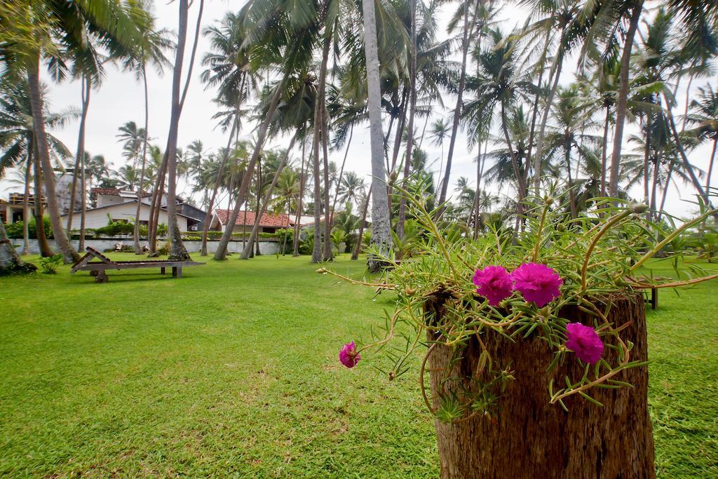 Hotel Chitra Ayurveda à Bentota Extérieur photo