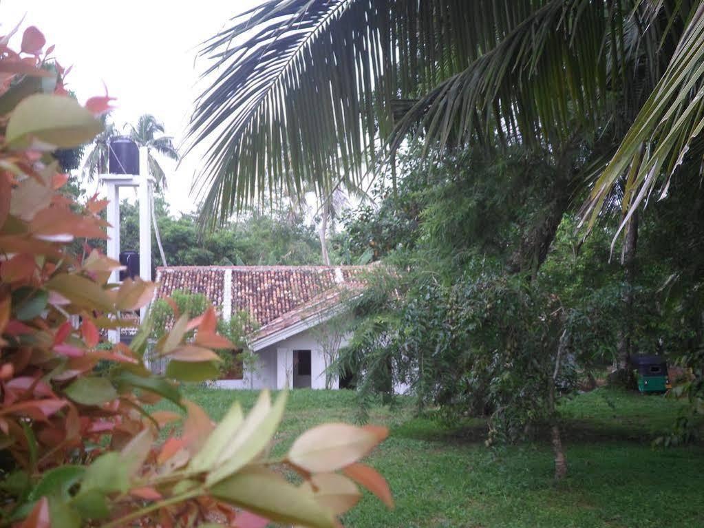 Hotel Chitra Ayurveda à Bentota Extérieur photo
